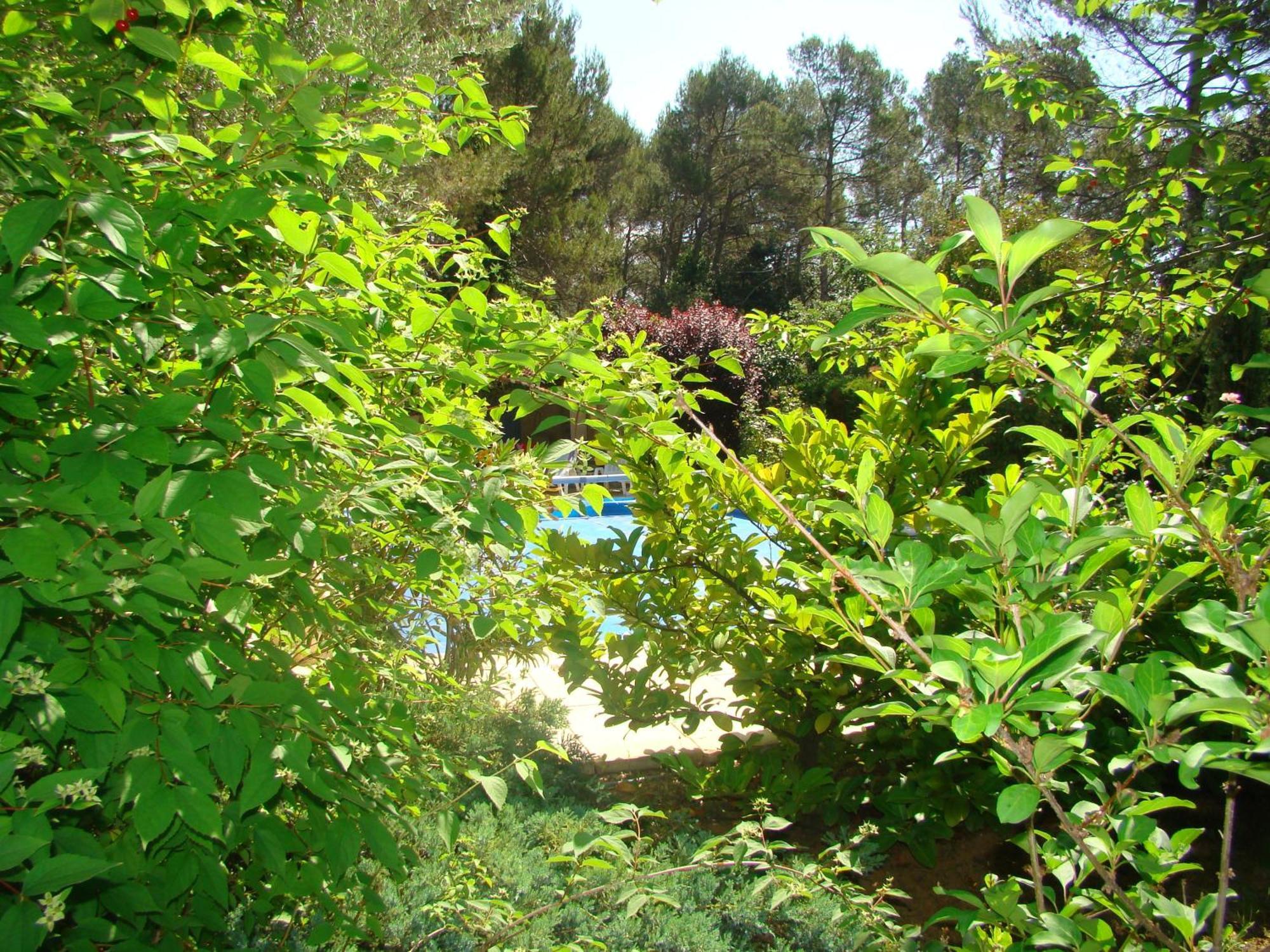 L'Oree Du Bois Saint-Maximin-la-Sainte-Baume Exterior foto